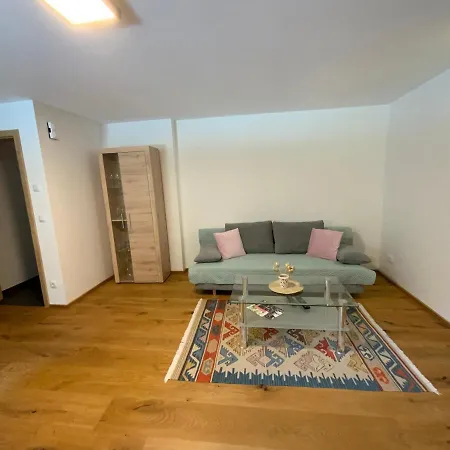 Apartment Traun-haft *